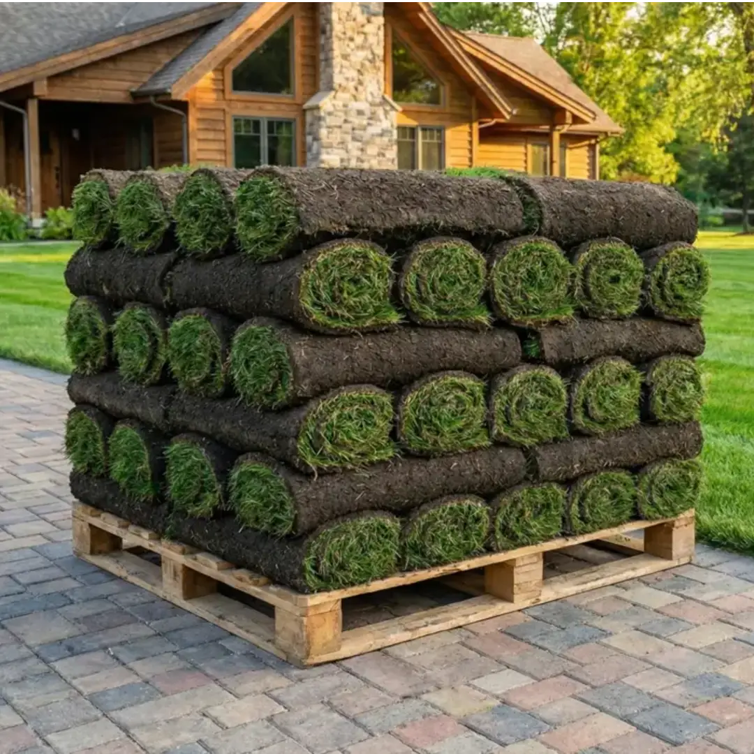 Рулонный газон